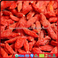 Wolfberry y goji berry himalayan goji berry juice polvo de extracto de baya de goji